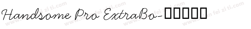 Handsome Pro ExtraBo字体转换